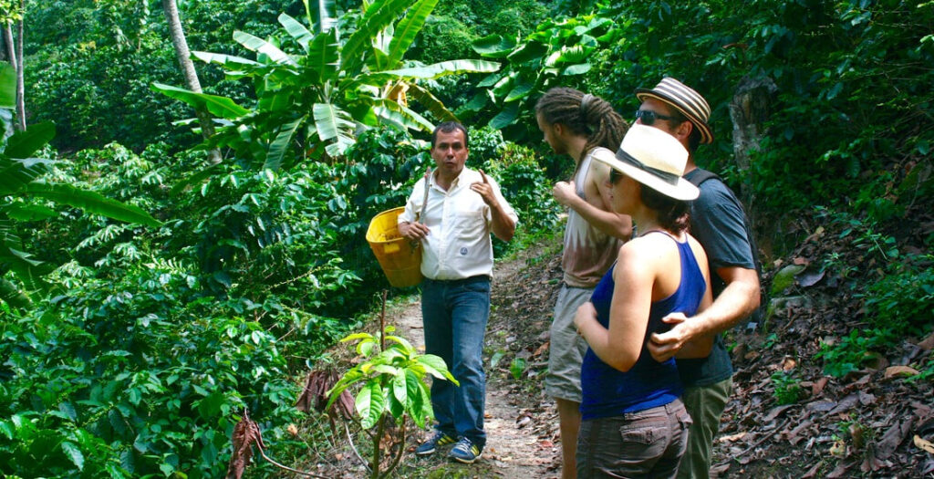 Ruta del Café y Cacao
