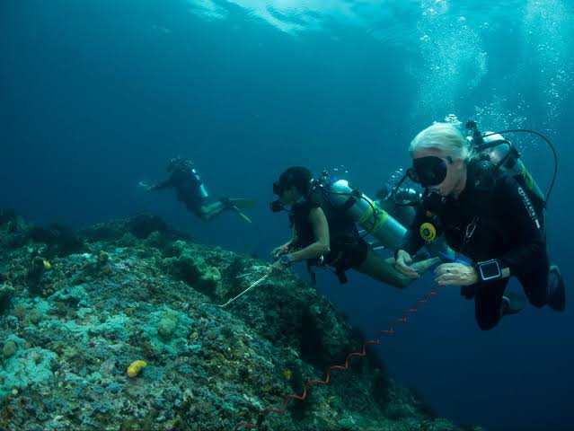 Buceo con Tanque